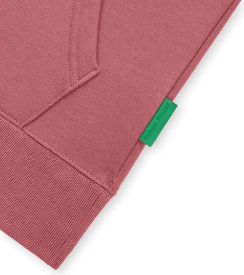 Pink Jupiter Kid's Hoodie | Future Planet