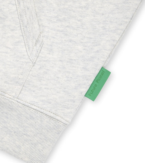 Future Planet Saturn Hoodie Ash