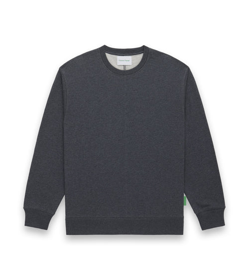 Future Planet Saturn Crewneck Charcoal