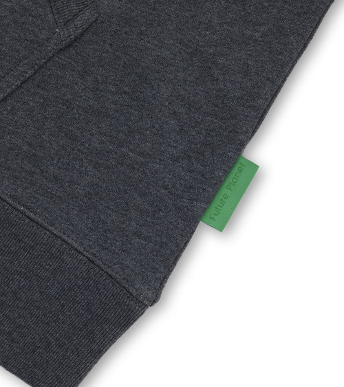 Future Planet Globe Hoodie Charcoal