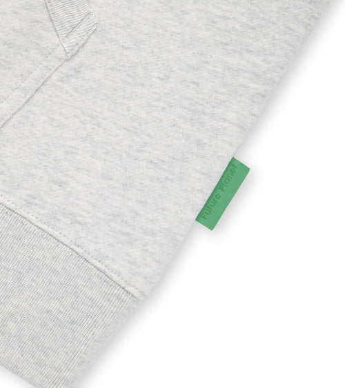 Future Planet Globe Hoodie Ash
