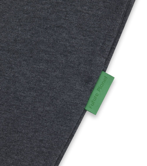 Future Planet Saturn Sweatpant Charcoal